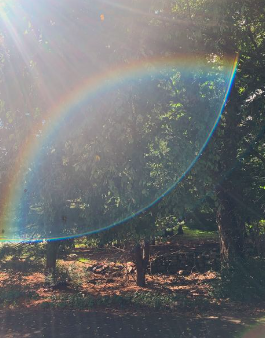 Captured this rainbow orb, which symbolizes unconditional love and divine presence.
